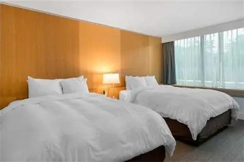 Double beds room